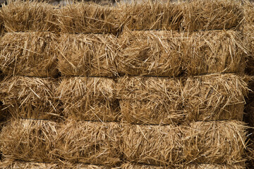 Groups of straw bales applied for transport. Concept agriculture, livestock, food, animals, bales.