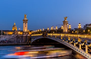 Stoff pro Meter Pont Alexandre III Alexander III Bridge in Paris at night