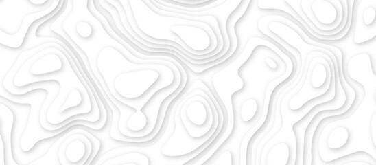 Abstract geometric layered curve line white background. 3d render, paper cut vector art background banner texture. multi layer cutout geometric patterns with smooth wavy layer. white background.