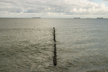 Falochron, Morze i horyzont w stonowanych barwach