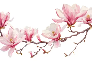 Foto op Canvas Exquisite Pink Magnolia Blossoms in Full Bloom: Perfect for Spring Decoration © Web