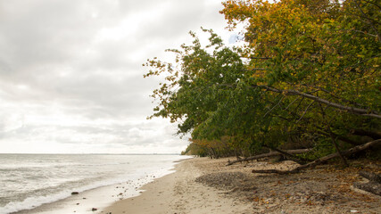 Spokojny, jesienny poranek na plaży nad morze Bałtyckim © Sebastian