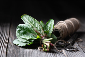 Bunch of fresh organic sorrel leaves on wooden table with scissors and rope. Food photography - 767289457