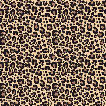 
Leopard print vector seamless pattern, animal background, wild cat texture, spots on background.