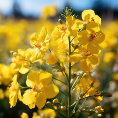 Closeup of Yellow flowers field Generative AI