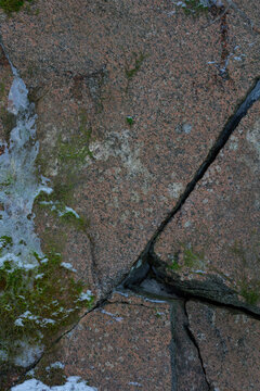 stone wall with moss