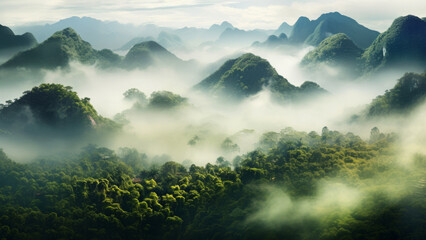 Flowing floating fog in high mountains rising above a green forest, dreamy serene landscape