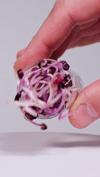 Slow motion of male hand pouring purple radish sprouts against white background. Fresh organic micro greens or edible seedlings falling down. Concept of healthy lifestyle, vegetarian or raw food diet.