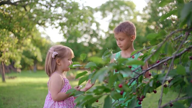 Cherry picking