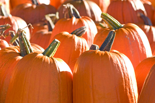 Pumpkins
