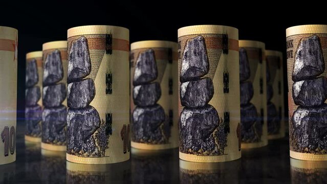 Zimbabwe money Zimbabwean dollars rolls loop 3d. Camera moving in front of ZWL 100 rolling banknotes. Seamless loopable concept of economy, finance, business and debt.