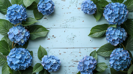 Blue hydrangea flowers arranged on a rustic white wooden background, creating a fresh, floral backdrop.