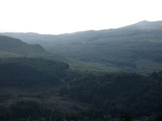 Fototapeta premium Forest viewed from Dun na Cuaiche - Inveraray - Royal Burgh - Argyll and Bute - Scotland - UK
