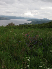 Forest viewed from Dun na Cuaiche - Inveraray -  Royal Burgh - Argyll and Bute - Scotland - UK