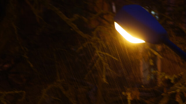 Schneetreiben im Laternenlicht