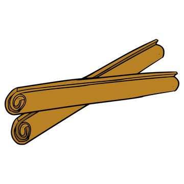 roll cinnamon illustration hand drawn isolated vector