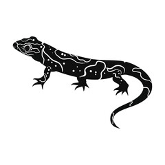 Obraz premium Marbled Salamander Silhouette