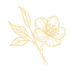 Fototapeta na wymiar Gold outline illustration with spring flower