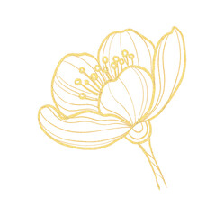 illustration of a golden flower