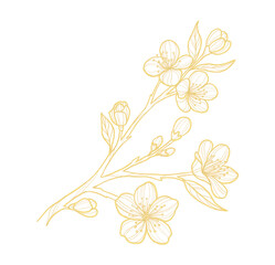 Gold outline illustration with spring flower