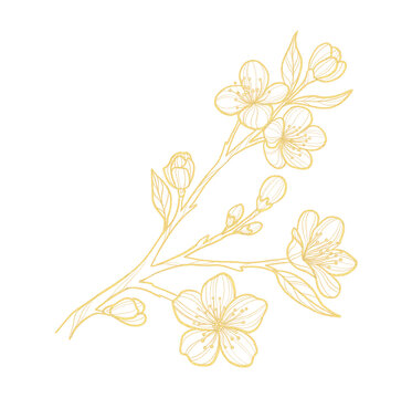 recommend clip art: Gold outline illustration with spring flower
