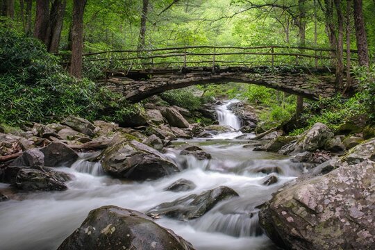 Smoky Mountain stream running on the stones with Spring trees and a bridge and waterfalls