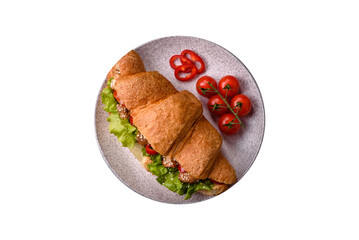 Delicious fresh crispy croissant with chicken or beef meat, lettuce, tomatoes, spices and sauce - 767324804