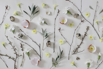 Easter floral composition. Yellow primrose, white carnation flowers. Birch, olive tree branches, willow catkins twigs. Quail, hen eggs shells isolated on white table background. Spring flat lay, top