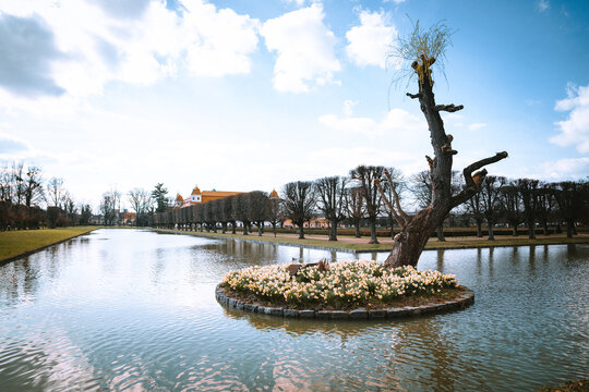fountain in the park of palace