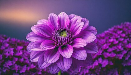  A close-up view of a vibrant purple flower standing out against a lush purple background, creating a visually striking contrast 