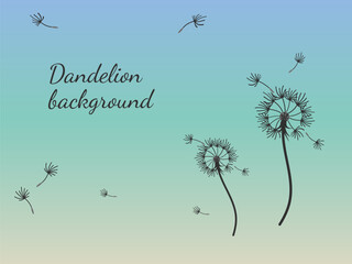 Dandelion_background8-41.eps