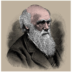 Charles Darwin, colored vector illustration from old engraving from Meyers Lexicon published 1914 in Leipzig