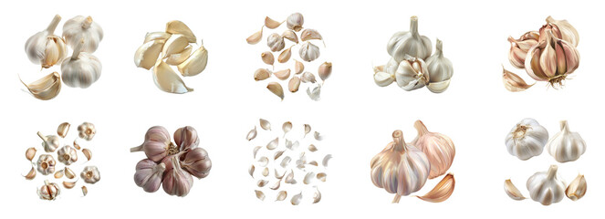 Fresh garlic bulbs and cloves variety isolated, cut out transparent