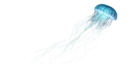 An ethereal jellyfish Transparent Background Images 