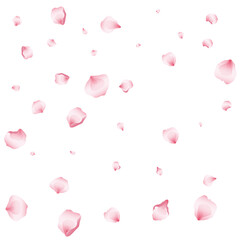 Flying pink petals transparent background. Beautiful floral overlay with lots of rose petals.