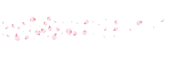 Flying pink petals transparent background. Beautiful floral overlay with lots of rose petals.