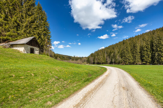A narrow road through a spring landscape with a green meadow near the forest. Central Slovakia, Europe.