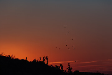 Atardecer en el desierto