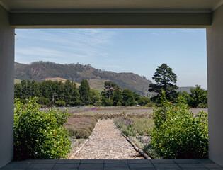 Tunnel through a building with access to a courtyard, garden, outside. Nature of South Africa. View of nature through the frame. Walking paths, vegetation and bushes with green leaves