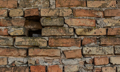 old brick wall