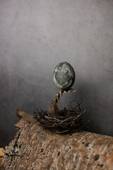 Easter egg on top of the feather, which is on the nest. Dark background