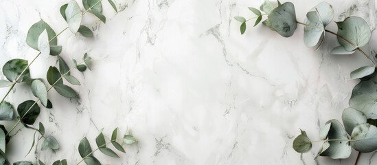 Blank marble paper with eucalyptus branches on a light gray background. Overhead view with empty space for text. - obrazy, fototapety, plakaty