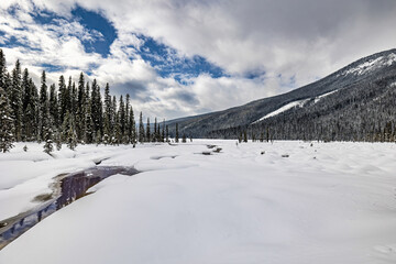 Fototapeta na wymiar Snowy icy stream on Rocky Mountain Trails during Winter 