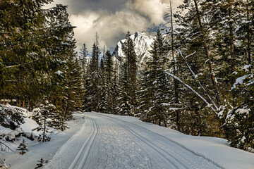 Rocky Mountain Winter