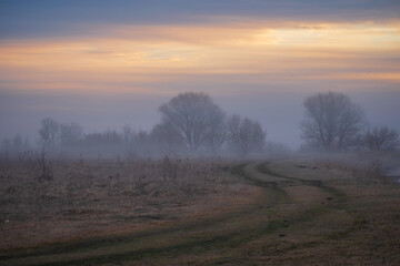 Fototapeta premium misty sunrise over the forest
