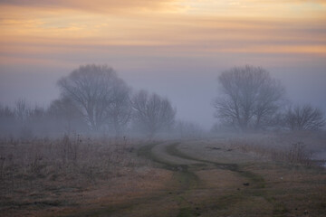morning mist over the river
