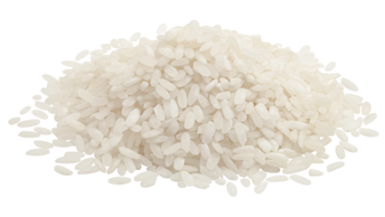 Rice isolated on white background, full depth of field
