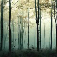 Foggy Forest with Distinct Tree Silhouettes