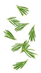 Falling rosemary isolated on white background, full depth of field