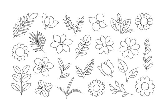 Flowers, leaves and twigs coloring page. Floral elements outline set. Coloring book for print